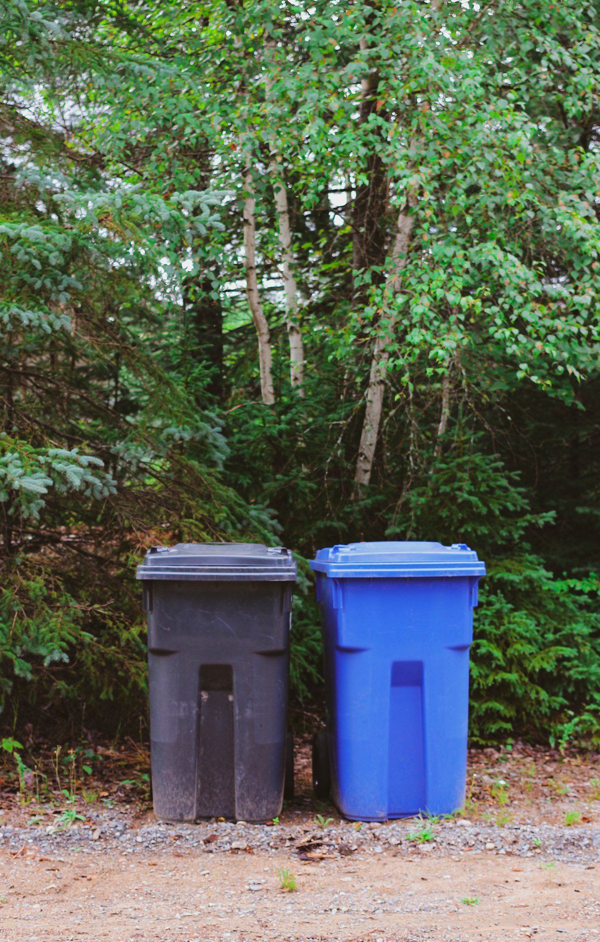 Green and blue recycling bins